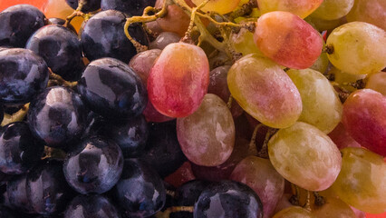Grapes red and pink close-up,with space for text,background,greeting card,Wallpaper,