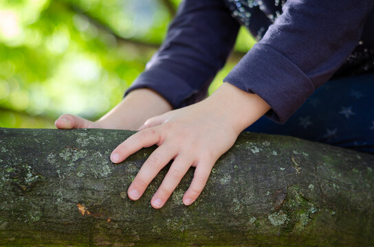Kinderh&auml;nde beim Klettern auf einen Baum