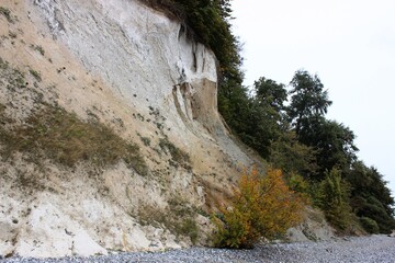 Rügen Kreidefelsen