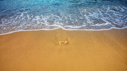 Water wave on sandy beach.