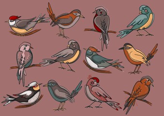 Background drawing for design. An image of magic birds.