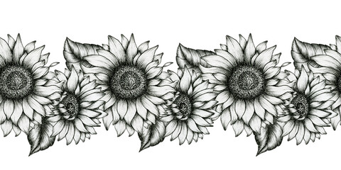 black and white sunflowers seamless border, realistic wildflowers decorative illustration, sunflower ink art, black floral sketch border design
