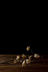 glass vase with dried flowers on wooden table on black background