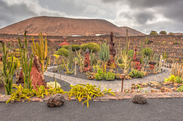 Cactus garden in Lanzarote, HDR Image