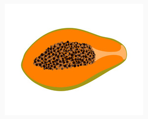 papaya illustration, healthy, vitamin, tropics, half of papaya, vitamins, dessert, vegan, nature, vegetarian, fruit illustration, papaya slice, fruits, summer, edible, vector, fresh, tasty, exotic, ri