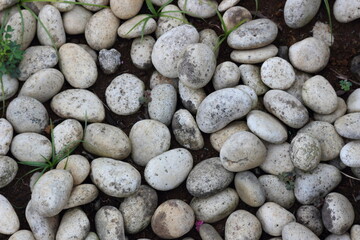 Gravel / pebbles texture.  white stone