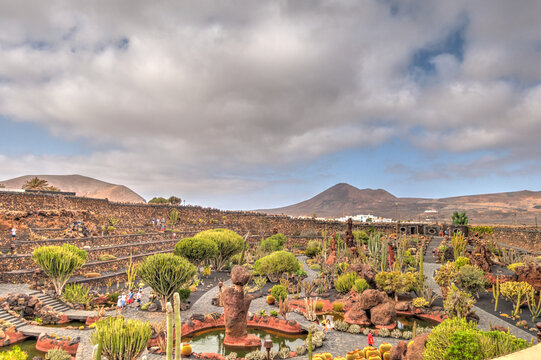 Cactus garden in Lanzarote, HDR Image