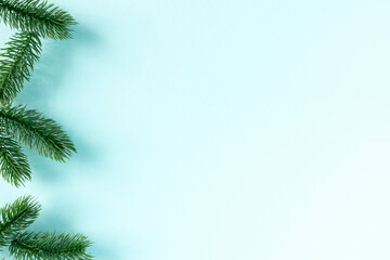 Border of green fir branches on blue background