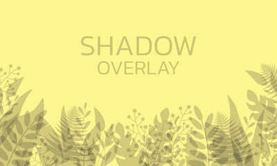 Shadow overlay. Transparent background with leaves and plants. Vector illustration.