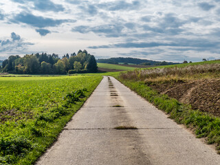 Strassenschäden auf einer alten Teerstrasse