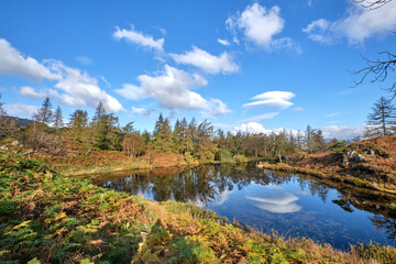 Fototapeta na wymiar Autumn colours reflected in a Lake District tarn above derelict slate quarries at Hodge Close