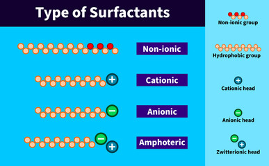 Surfactant types: non ionic surfactants, cationic, anionic,  soap hydrophilic hydrophobic Zwitterionic amphoteric detergent water