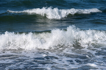Baltic sea coast on Darss in Germany