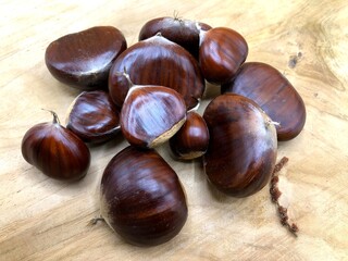 Fresh raw chestnuts