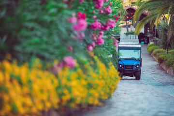 Golf car parked inside a driveway with flowers and plants. Summer vacation resort.