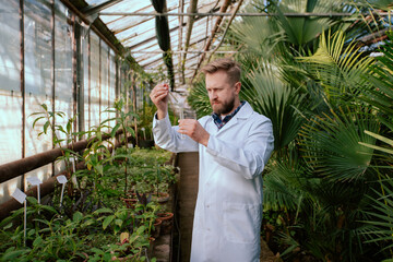 Obraz premium Man agricultural scientist analyzing a tube test with vegetables leaf they concentrated