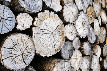 Naklejka premium old firewood texture
