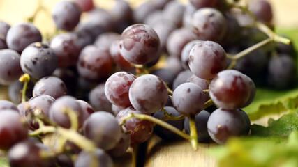 Blue grapes and grape leaves on a wooden surface. Selective focus. Macro. Grape harvest.