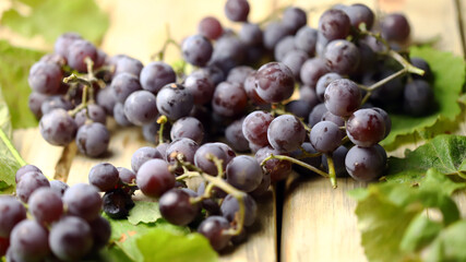 Blue grapes and grape leaves on a wooden surface. Selective focus. Macro. Grape harvest.
