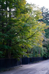 Kakunodate in Akita, 2020.