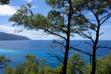 Fototapeta na wymiar View of the Mediterranean Sea through the pine trees in Turkey