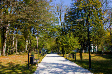 Garden and park, Zugdidi Botanic garden