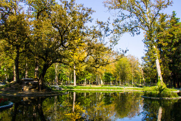 Fototapeta na wymiar Pond in the park, Zugdidi Botanic garden