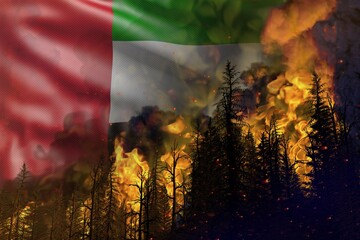 Forest fire fight concept, natural disaster - infernal fire in the woods on United Arab Emirates flag background - 3D illustration of nature