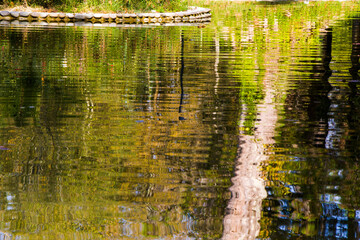 Pond water reflection abstract background, autumn time