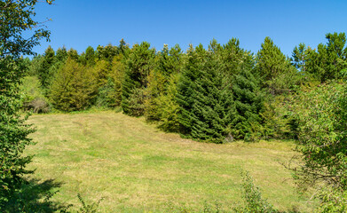 Lungo il sentiero 109 AG da Poggio San Romualdo a Castelletta