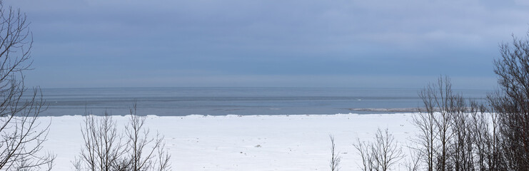 Panoramic view of the landscape with trees on a snow-covered white sea beach in blue shades