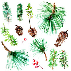 Hand drawn watercolor forest nature pine and fir tree branches, cones, berries