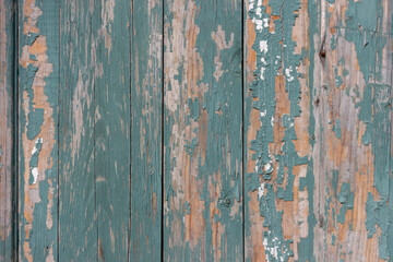 The surface of old wooden planks with peeling green paint.
