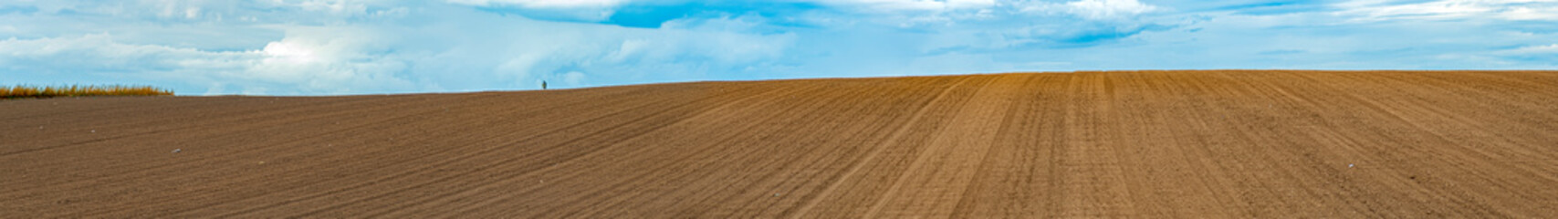 Fototapeta premium Landscape with agricultural land, in slope, recently plowed and prepared for the crop