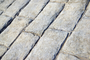 Obraz premium Floor close up