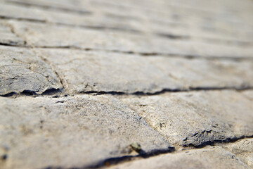 Floor close up