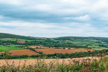 Naklejka premium Beautiful landmark of Devonshire farmlands, far distance view for trees and fields, mostly man made landscape of british farms and grazing fields for sheeps