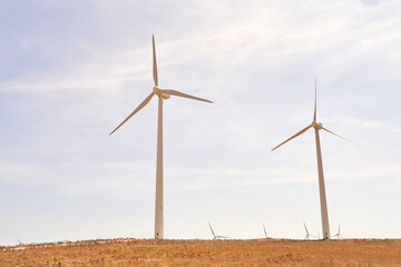 Wind turbines producing electricity in the field. Concept of renewable energies. Cadiz, Spain.
