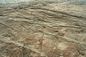 磯の岩肌に見られる模様