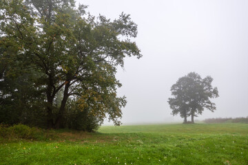 Mglisty jesienny dzień w Dolinie Narwi, Podlasie, Polska