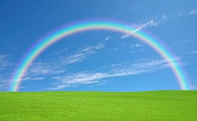 Naklejka premium 緑の草原と雲と虹