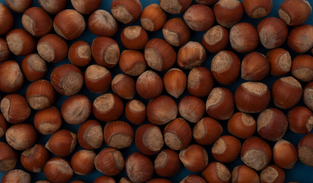 Close up view of hazelnuts on blue background