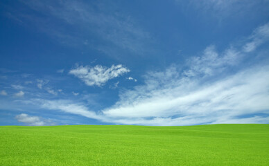 Fototapeta na wymiar 緑の草原と雲