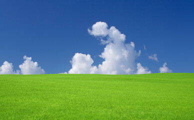 Fototapeta na wymiar 緑の草原と雲