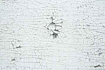 Texture of an old cracked white paint. Background