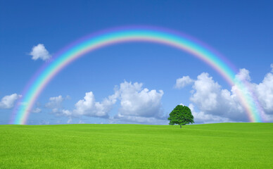 Obraz na płótnie Canvas 草原の一本木と雲と虹