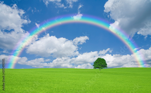 草原の一本木と雲と虹 Wall Mural Wallpaper Murals Paylessimages 草原の一本木と雲と虹 Wall Mural Wallpaper Murals Paylessimages