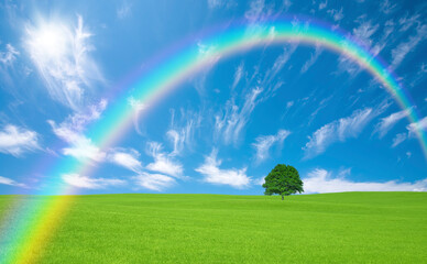 Obraz na płótnie Canvas 草原の一本木と雲と太陽と虹