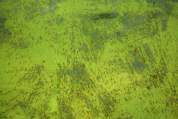 Green paint and rust on the old iron. Background, texture.