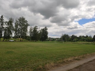 Fototapeta na wymiar large soccer field with green grass in summer